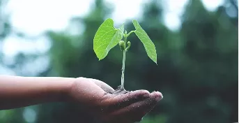 1619659095162675.png 圖片1(1).png