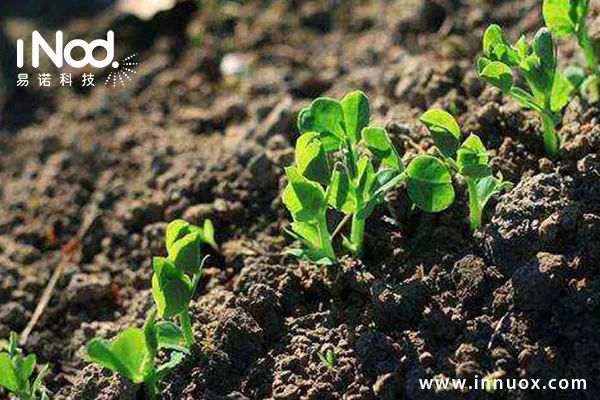 1661996536183297.jpg 2.jpg